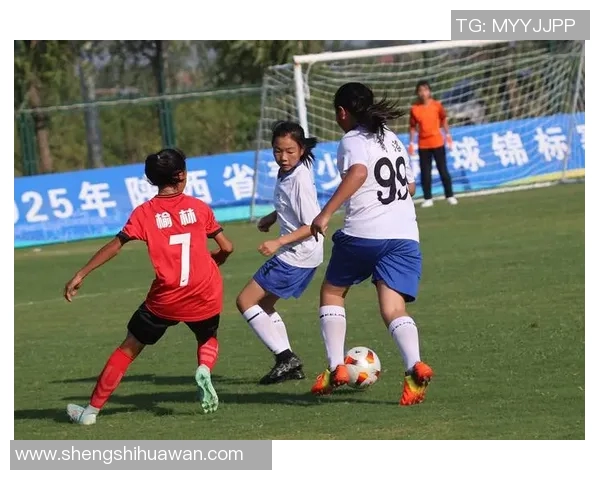 榆林首位女足明星的崛起与成就:塑造陕西女足的新篇章 榆林首位女足明星的崛起与成就:塑造陕西女足的新篇章