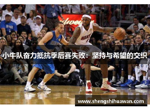 小牛队奋力抵抗季后赛失败：坚持与希望的交织